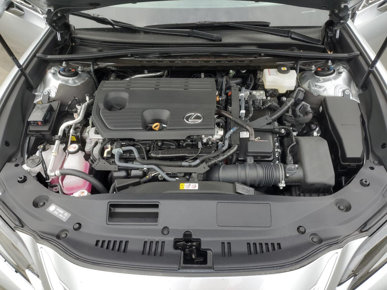2024 Lexus ES - Image 13