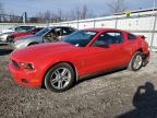 2010 Ford Mustang  продається в Walton, KY - Rear End