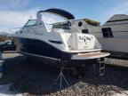 1996 Sea Ray Boat for Sale in Avon, MN - Water/Flood