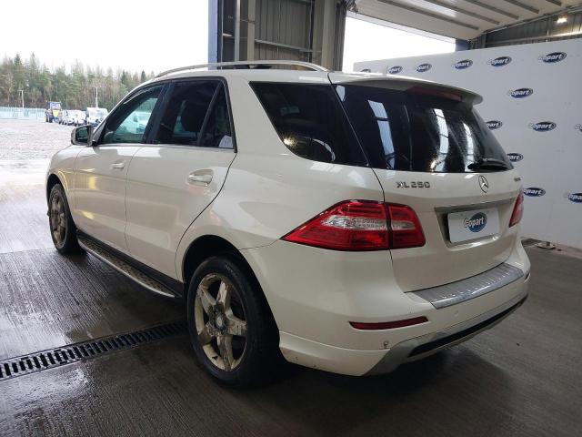 2013 MERCEDES BENZ ML250 AMG