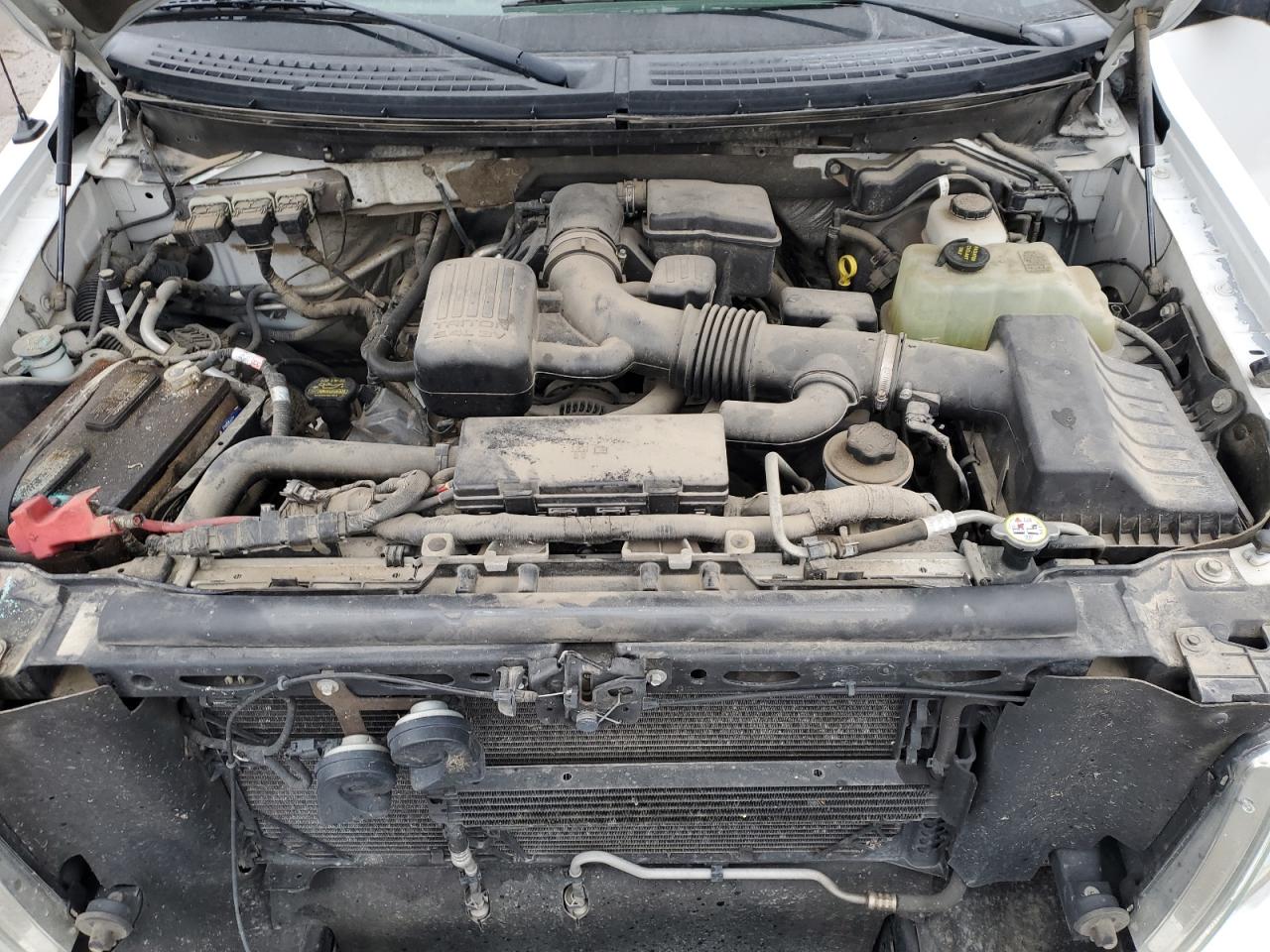 2010 Ford F-150 - Image 11