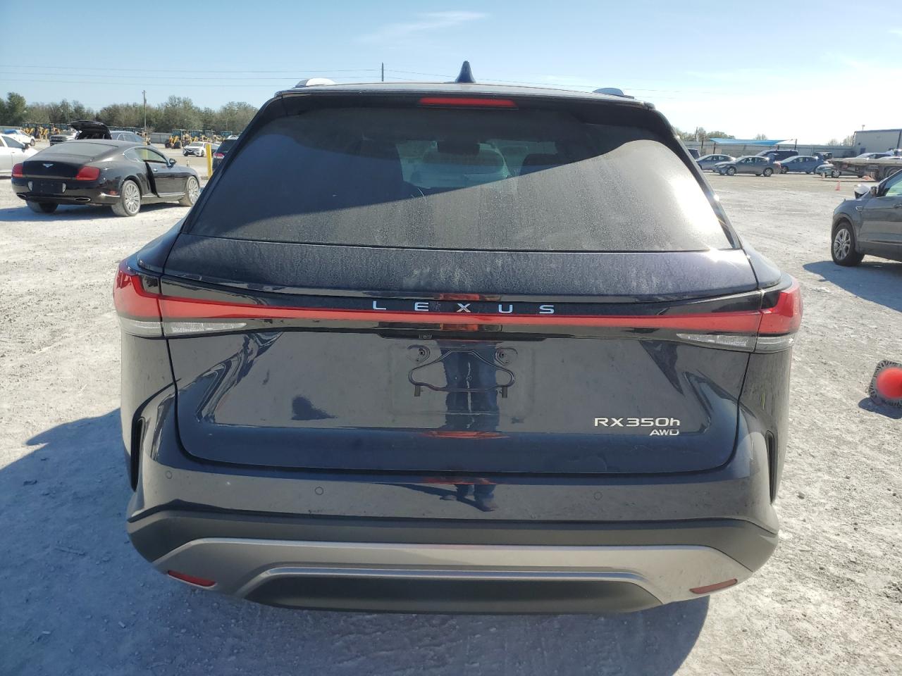 2024 Lexus RX - Image 6