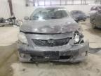 2010 Toyota Corolla Base zu verkaufen in Lawrenceburg, KY - Front End