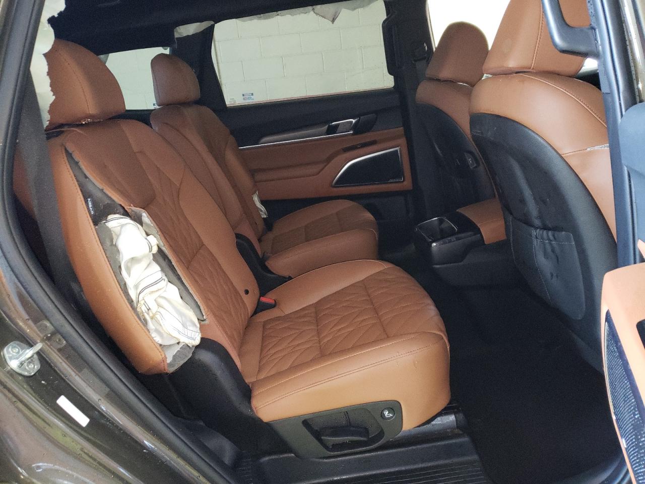 2024 Kia Telluride Sx VIN: 5XYP5DGC3RG498967 Lot: 45762725
