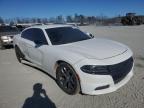2015 Dodge Charger Sxt for Sale in Spartanburg, SC - Side
