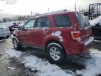 2011 Ford Escape Limited na sprzedaż w Denver, CO - Front End