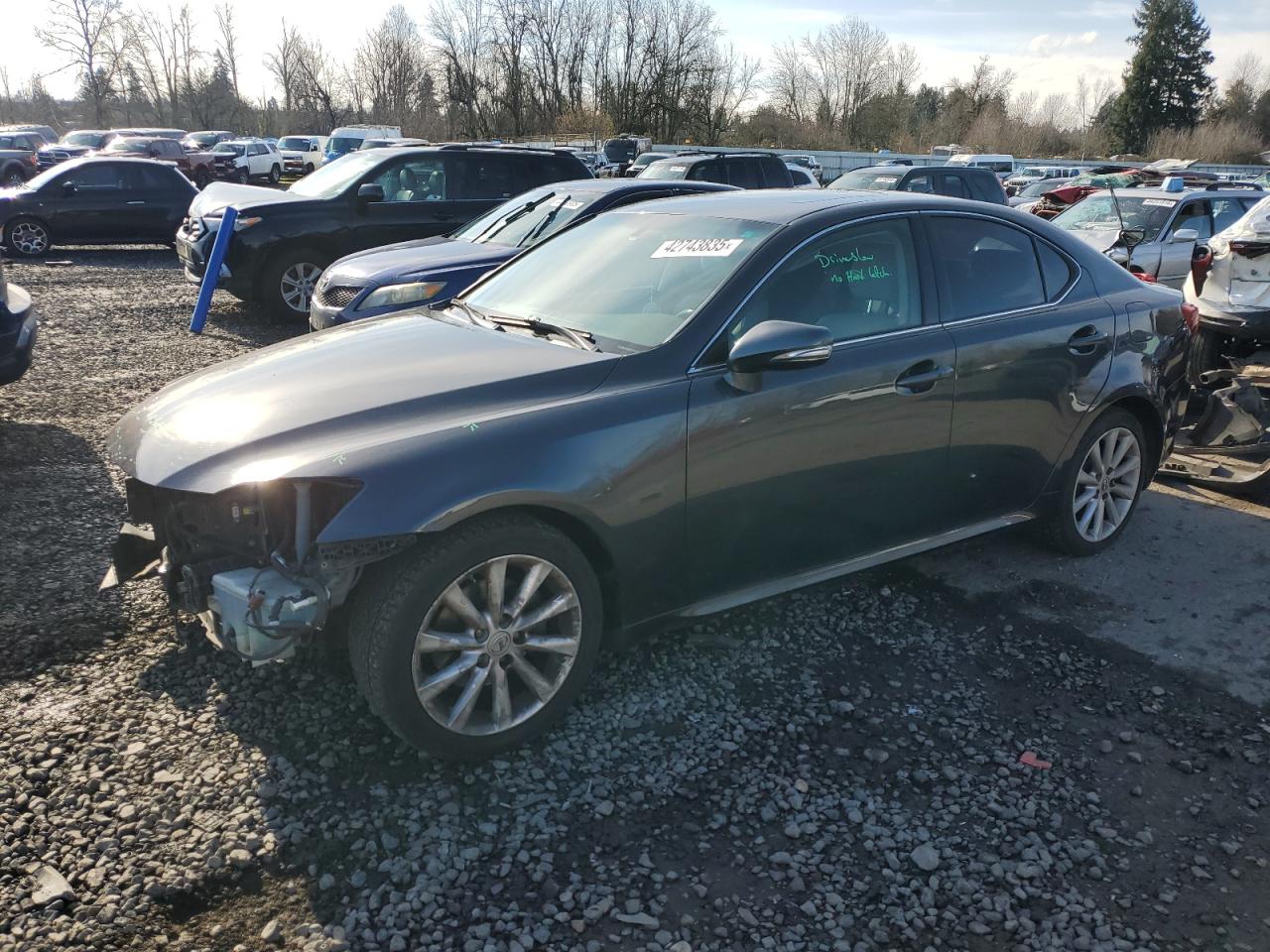 2009 Lexus IS - Image 1