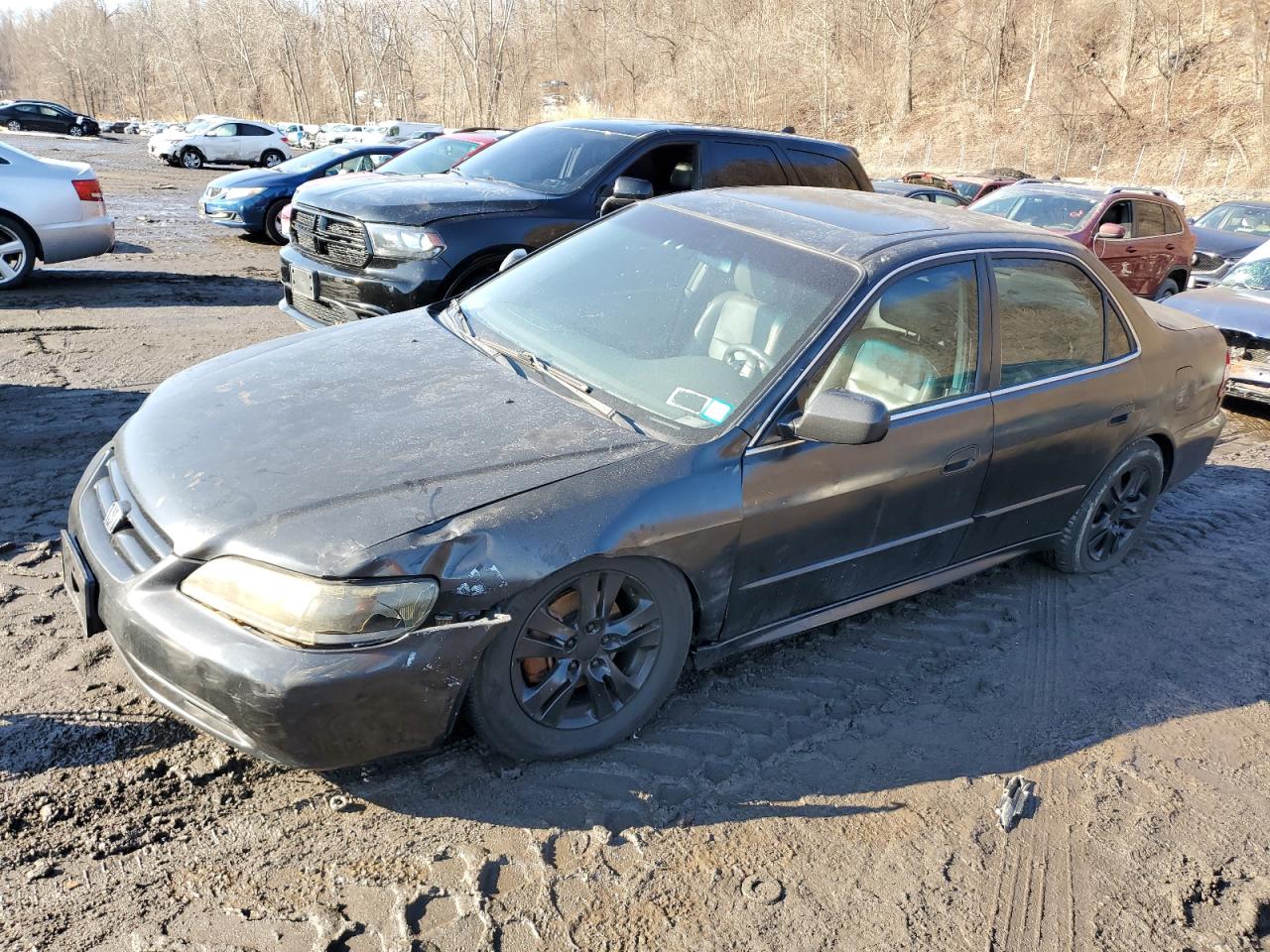 2001 Honda Accord - Image 1