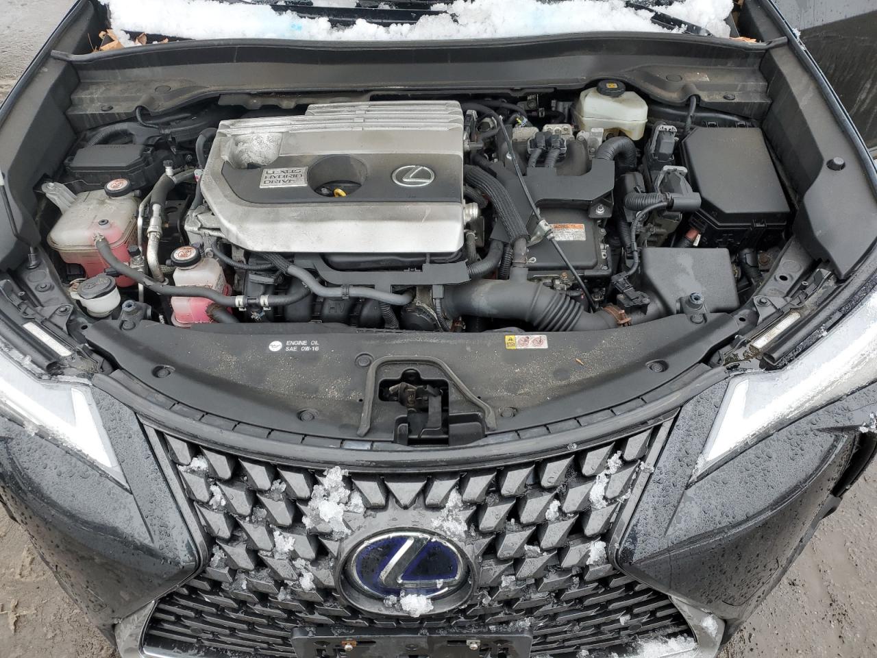 2019 Lexus UX - Image 12