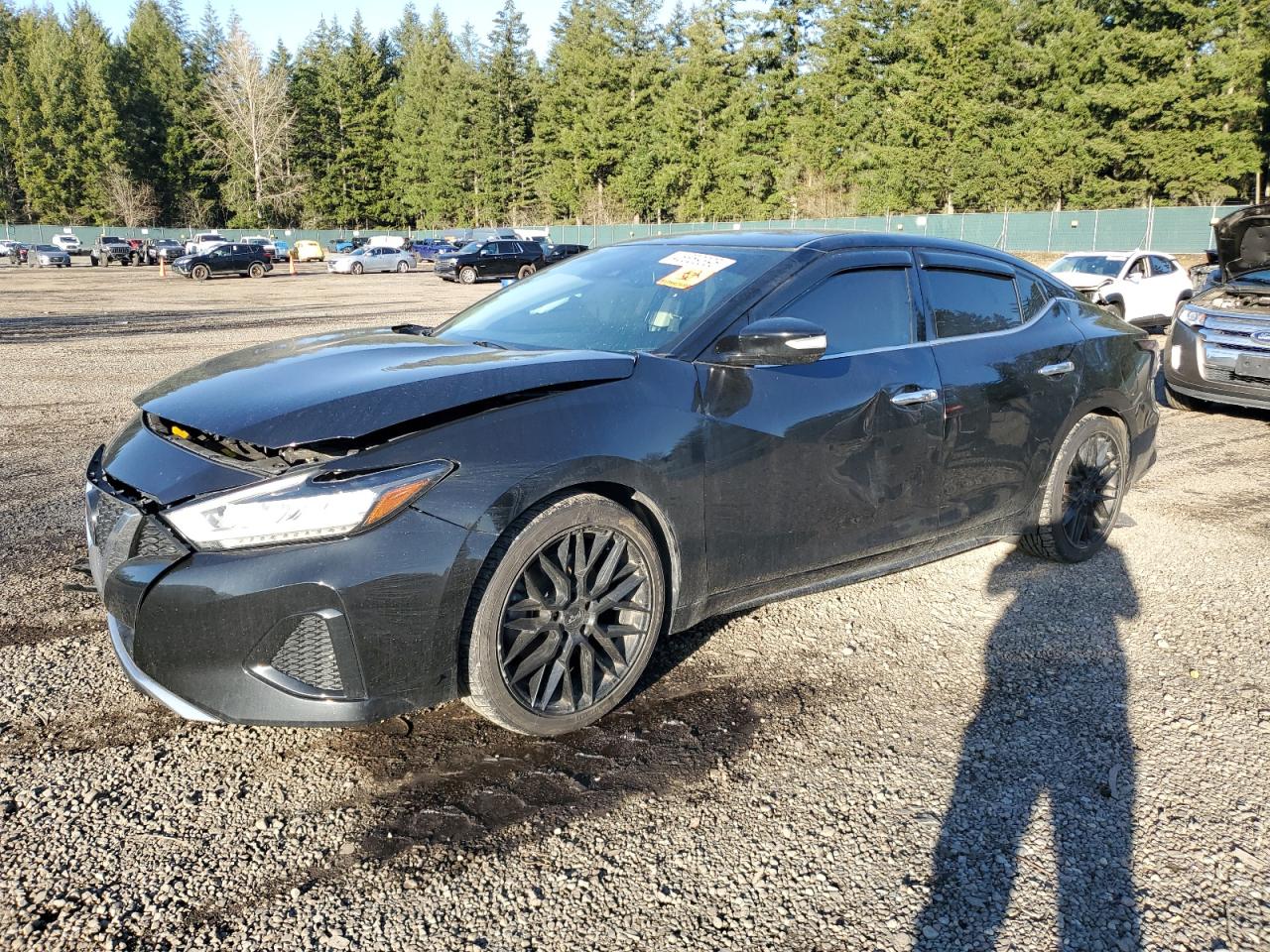 2020 Nissan Maxima Sv for Sale in Graham, WA - Front End