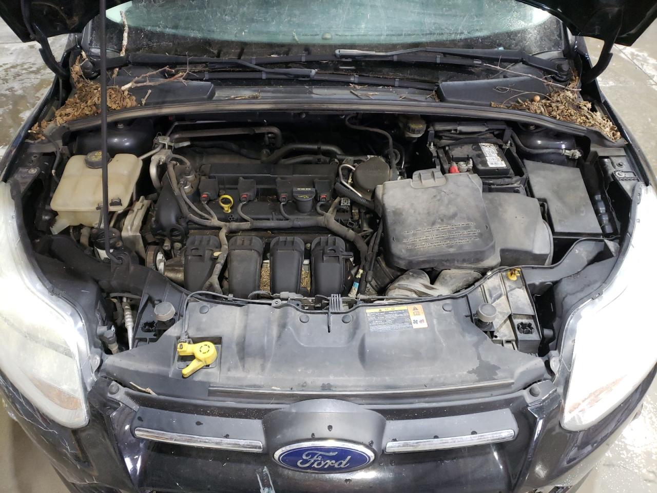 2014 Ford Focus - Image 13