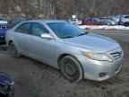 2010 Toyota Camry Base na sprzedaż w Marlboro, NY - Minor Dent/Scratches