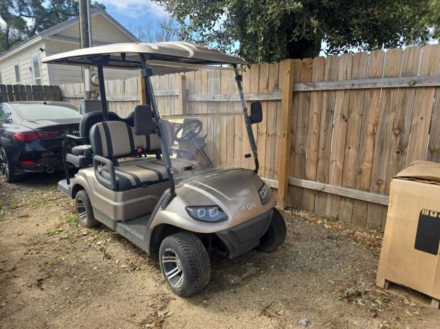 2021 Icon Golf Cart