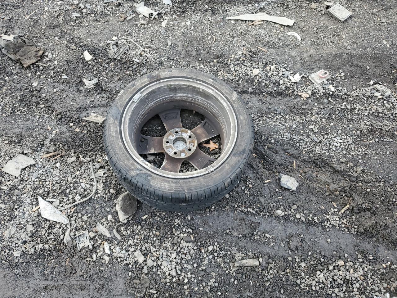 2009 Acura Tsx VIN: JH4CU26699C026776 Lot: 44364765