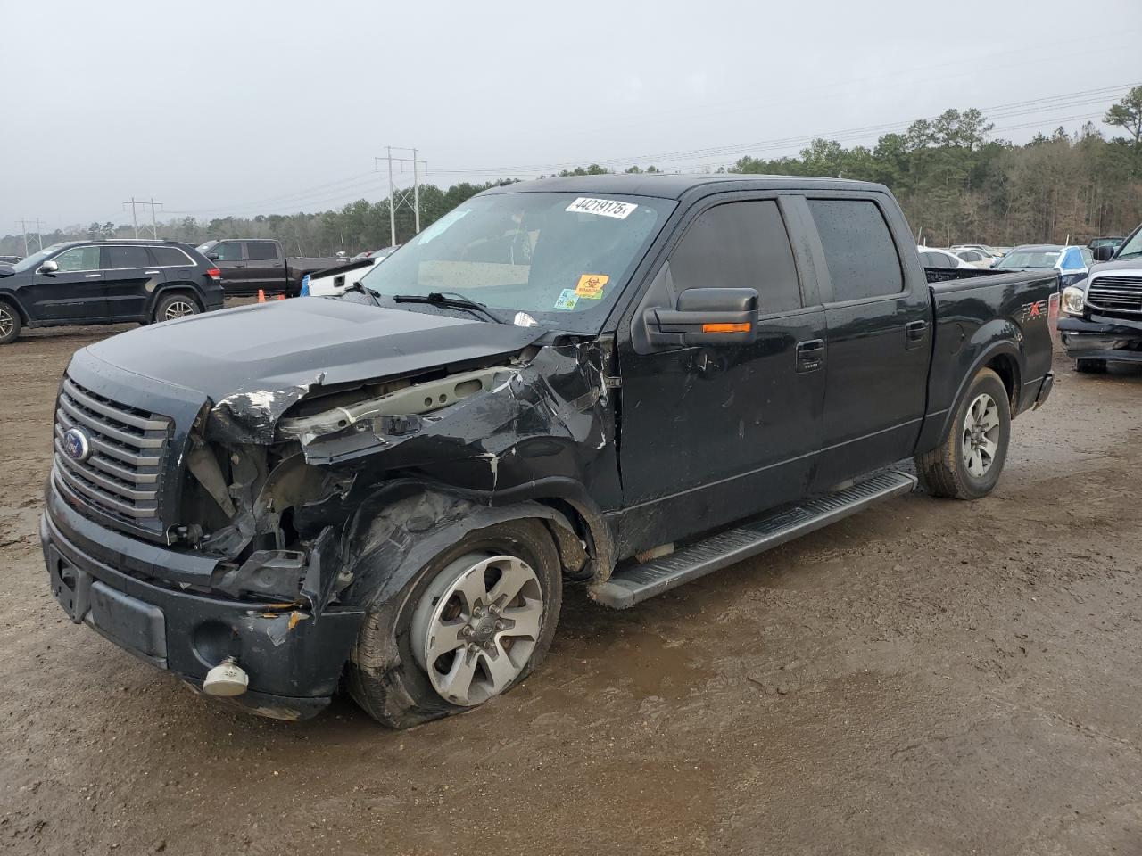 2010 Ford F-150 - Image 1