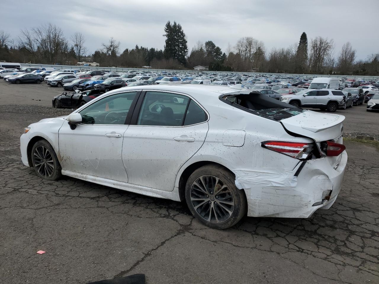 2020 Toyota Camry - Image 2