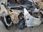 2024 Tesla Model 3  for Sale in Bakersfield, CA - Burn