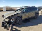 Albuquerque, NM에서 판매 중인 2024 Subaru Outback Wilderness - Rollover