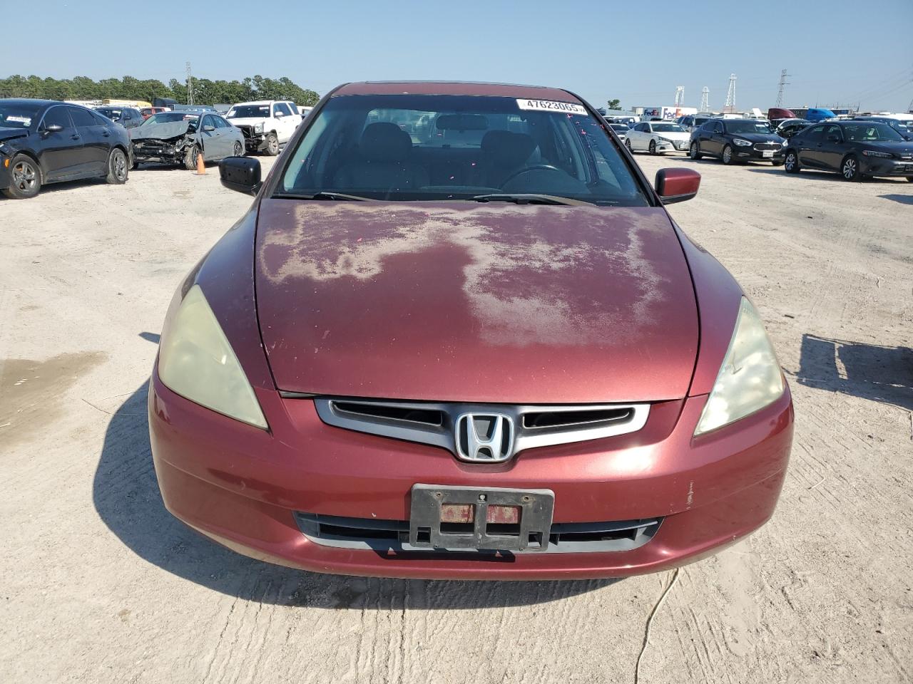 2005 Honda Accord - Image 5