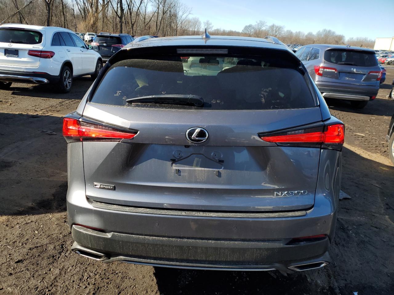 2021 Lexus NX - Image 6