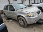 2005 Ford Escape Limited продається в Louisville, KY - Front End