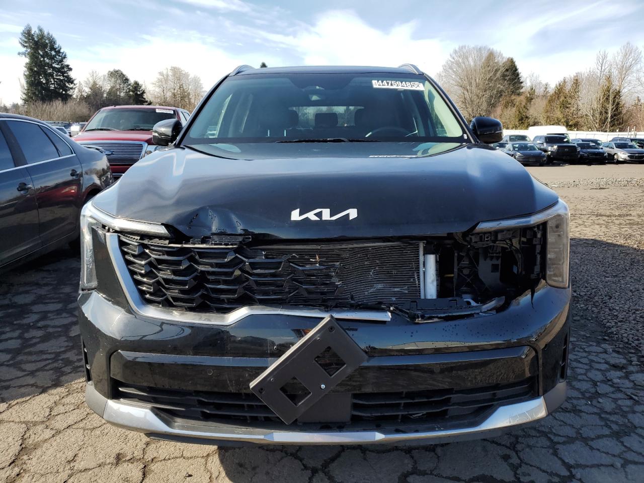 2024 Kia Sorento - Image 5
