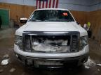 2012 Ford F150 Supercrew იყიდება Kincheloe-ში, MI - Rollover