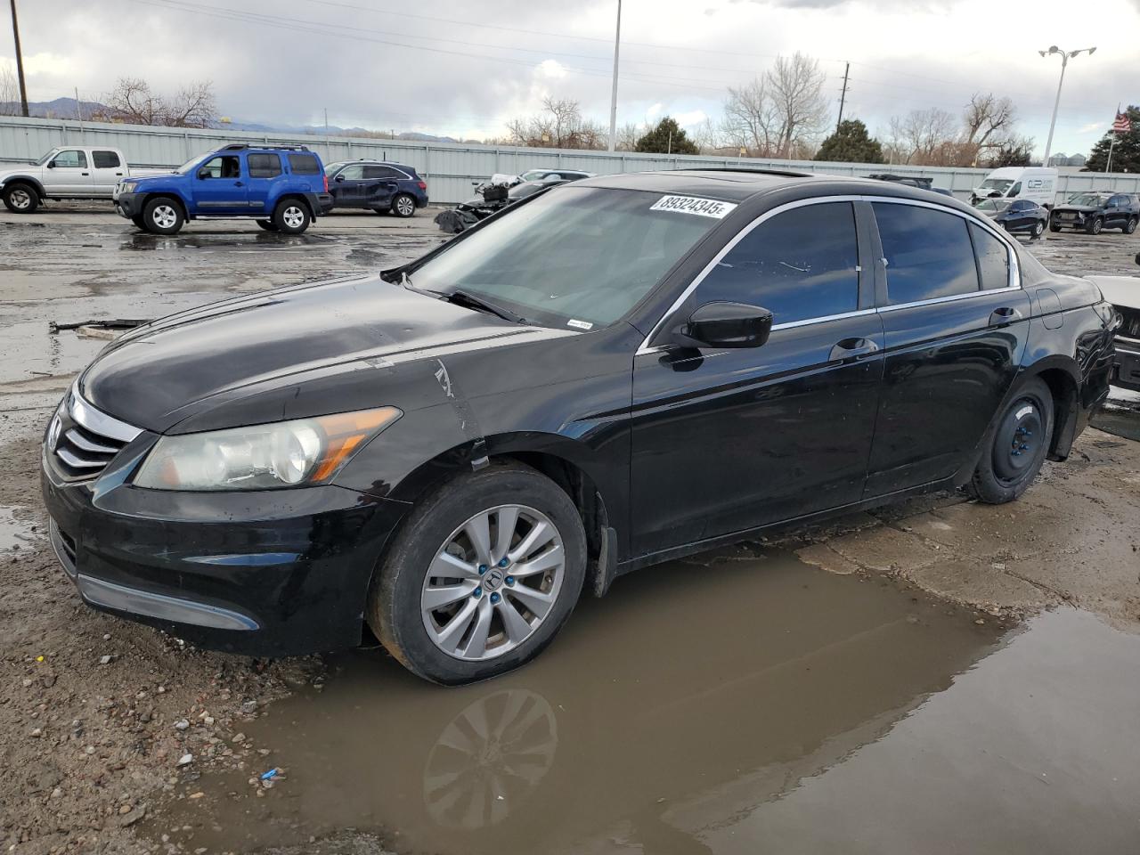 Honda Accord