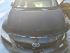 2010 TOYOTA COROLLA BASE for sale at Copart ON - TORONTO