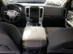 2010 Dodge Ram 1500  na sprzedaż w Albuquerque, NM - Front End