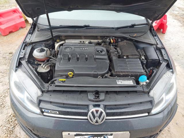 2014 VOLKSWAGEN GOLF BLUEM
