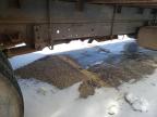 1995 Chevrolet Tilt Master W4S042  en Venta en Woodhaven, MI - Minor Dent/Scratches