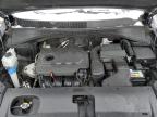 2019 Kia Sorento L for Sale in Louisville, KY - Rear End