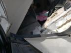 2022 Volvo Vn Vnl for Sale in Albuquerque, NM - All Over