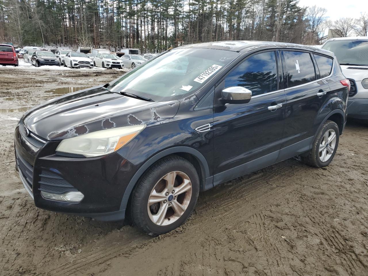 2013 Ford Escape Se zu verkaufen in North Billerica, MA - Minor Dent/Scratches