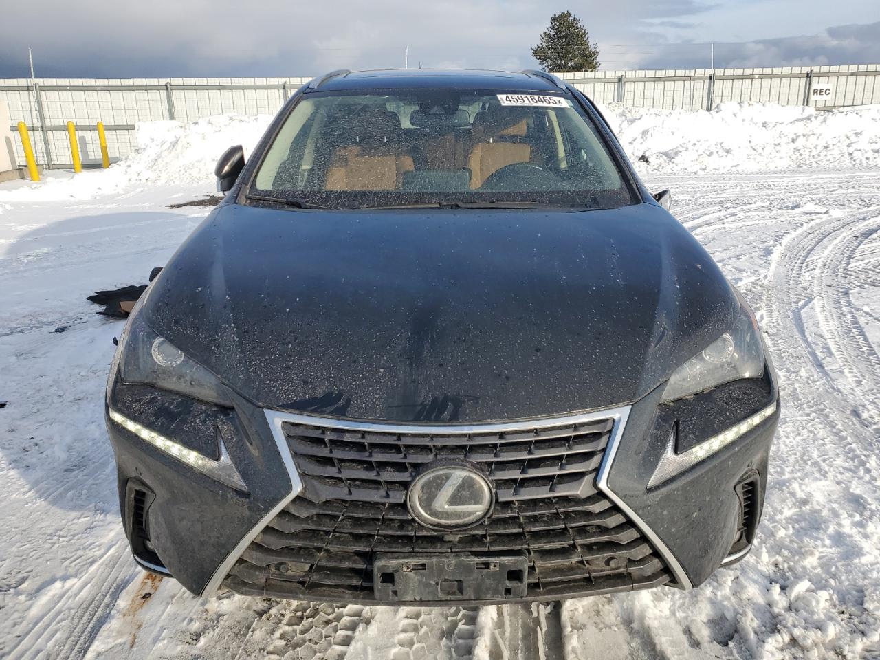 2020 Lexus NX - Image 5