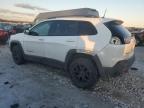 2021 Jeep Cherokee Trailhawk zu verkaufen in Wayland, MI - Rear End