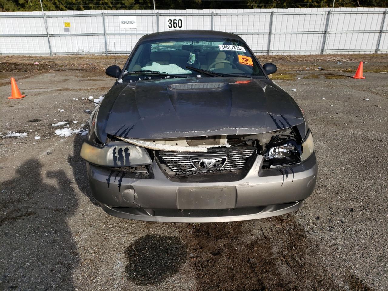 2002 Ford Mustang - Image 5