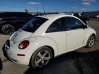 Windsor, NJ에서 판매 중인 2008 Volkswagen New Beetle Triple White - Rear End