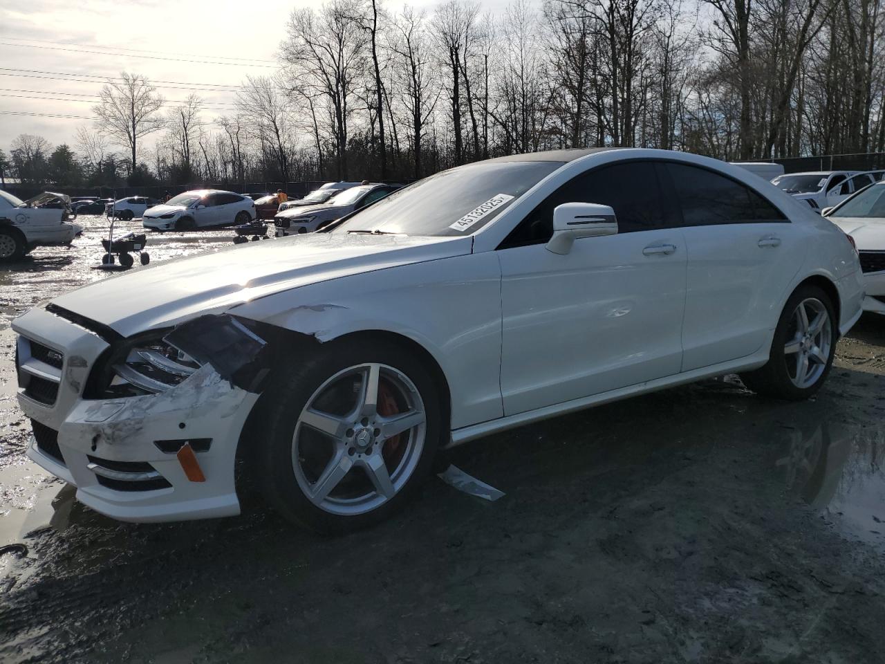2014 Mercedes-Benz CLS-klasse - Image 1