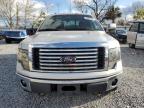 2010 Ford F150 Supercrew zu verkaufen in Riverview, FL - Rear End