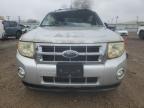 2009 Ford Escape Xlt for Sale in Mercedes, TX - Rollover