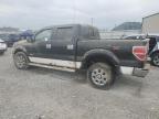 2013 Ford F150 Supercrew en Venta en Lawrenceburg, KY - Water/Flood
