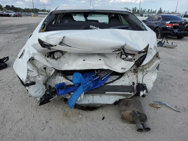  TOYOTA CAMRY 2019 Biały