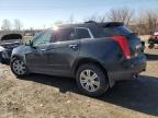 2014 Cadillac Srx Luxury Collection იყიდება Indianapolis-ში, IN - All Over