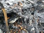 2018 Tesla Model 3  na sprzedaż w Midway, FL - Burn - Engine