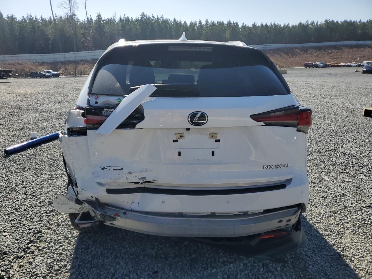 2021 Lexus NX - Image 6