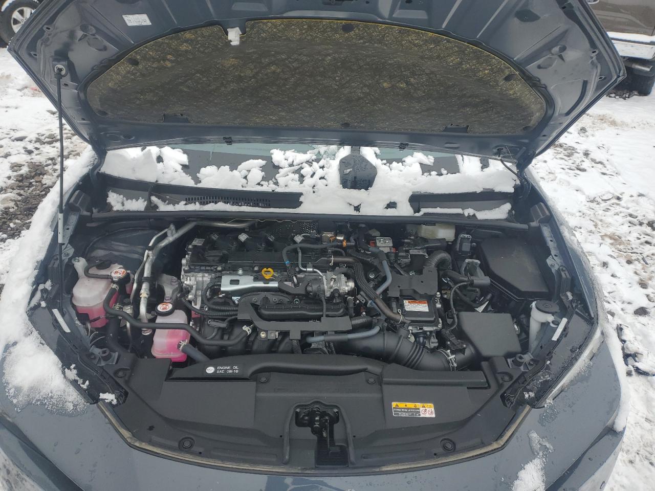 2024 Toyota Prius - Image 11