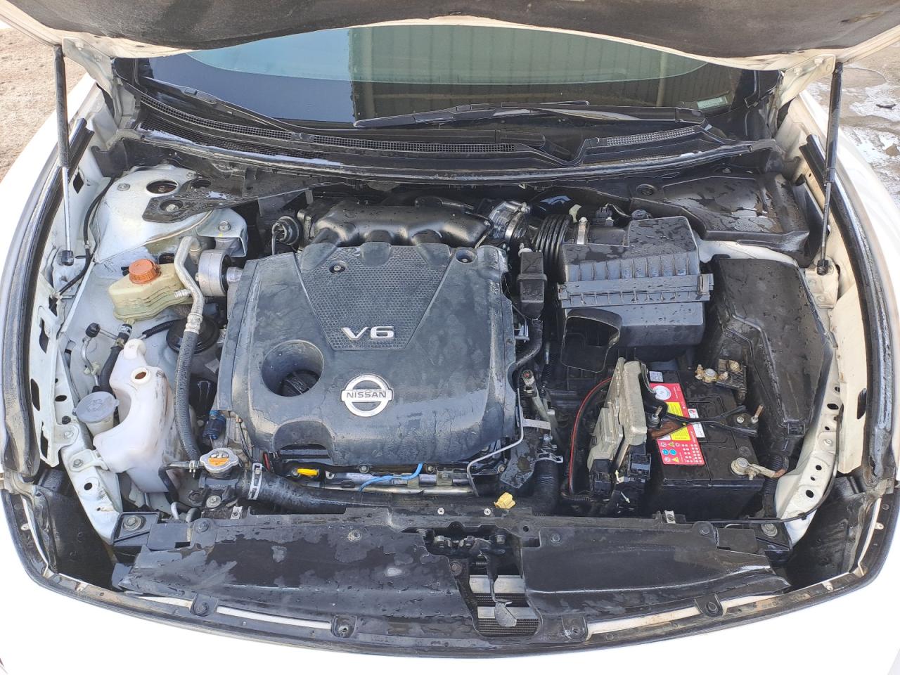 1N4AA5AP0BC811475 - 2011 Nissan MAXIMA - #46377835