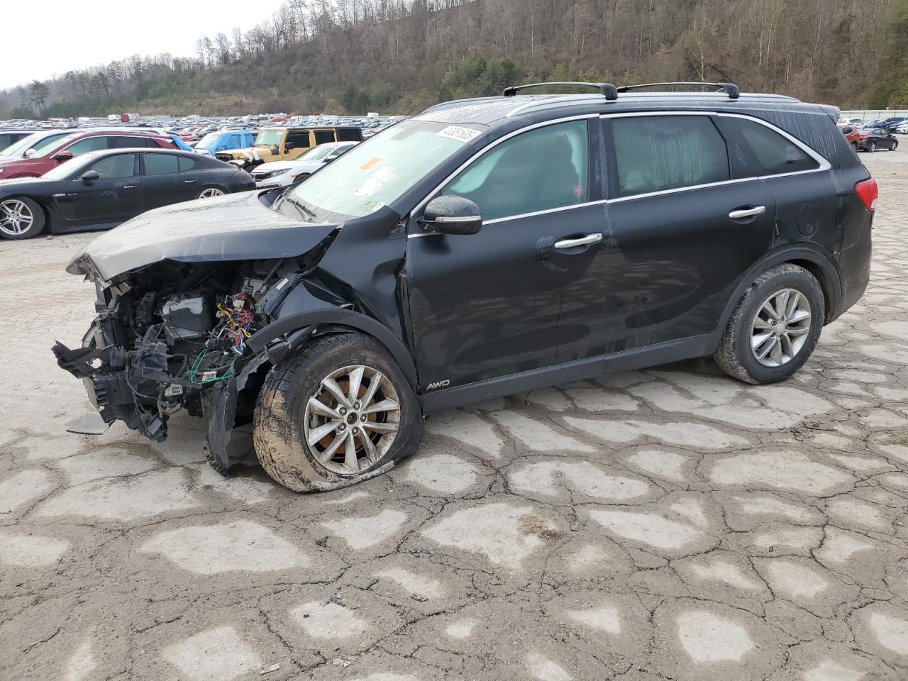 2016 Kia Sorento - Image 1